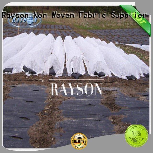 Rayson Non Woven Fabric high density fabric for weeds manufacturer for root control bags