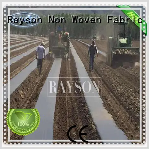 Rayson Non Woven Fabric high density landscape fabric for sale benefit for seed blankets