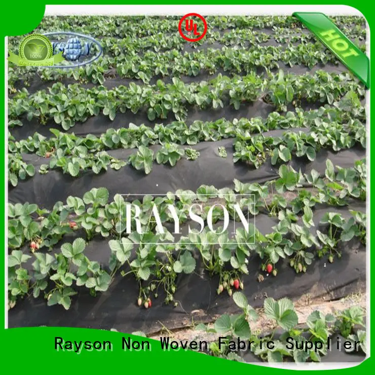 Rayson Non Woven Fabric stabilization weed control mat series for ground cover