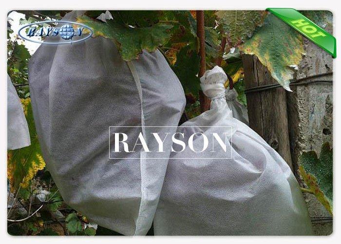 60GSM-80GSM Grape Protection Bags In PP Non Woven For Good Cover In Winter