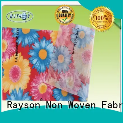 certificate fabrics pp spunbond nonwoven fabric 17gsm Rayson Non Woven Fabric