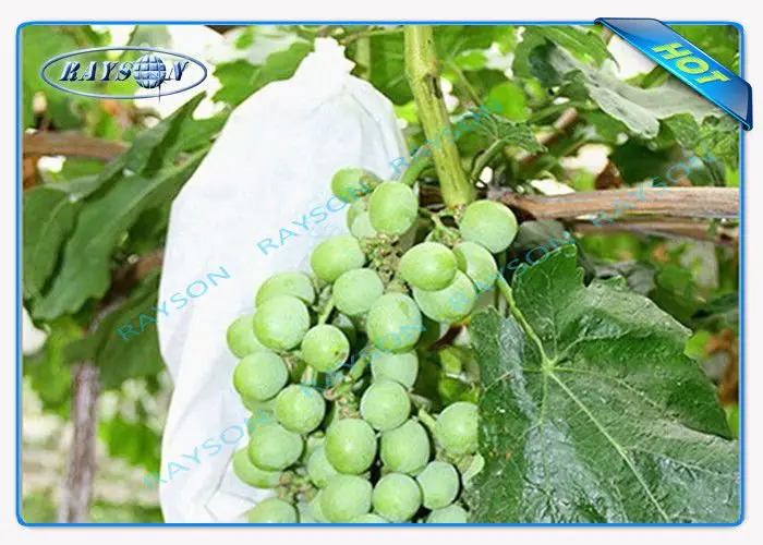 Heat Sealing Drawstring Spunbond Fruit Protection Bag Tear Resistant for Plant Growing
