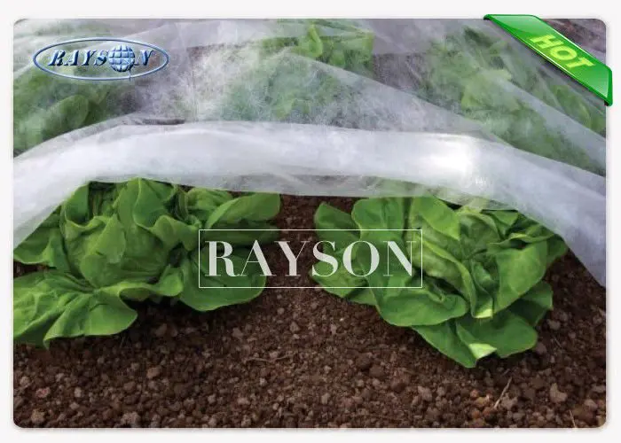 preen landscape fabric moist for root control bags Rayson Non Woven Fabric