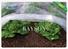roll landscape fabric drainage series for seed blankets