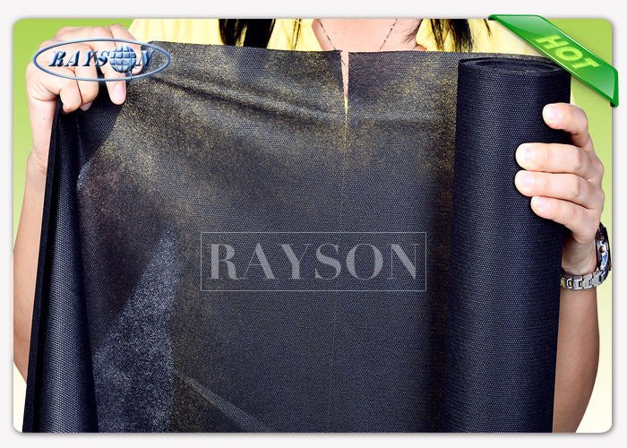 Rayson Non Woven Fabric party supplier for picnic