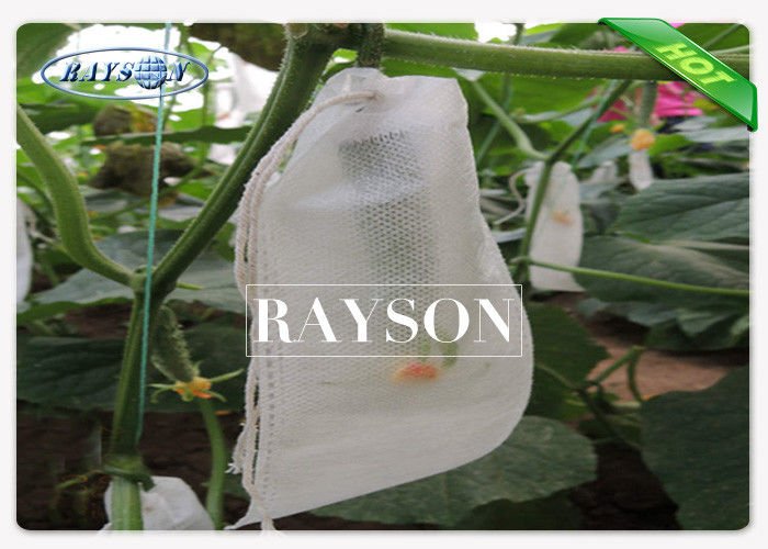 White 100% Virgin Polypropylene Plant Protection Fleece For Ground Cover