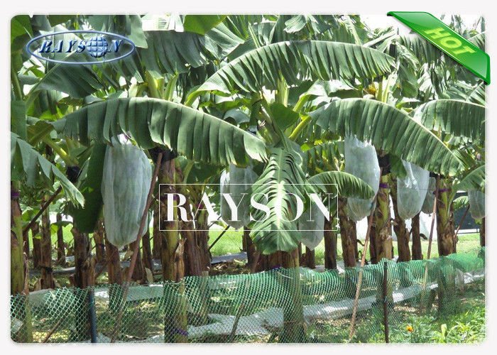 UV Stabilizer Fruit Tree Netting Bags for Banana / Grape / Mango PPSB Non Woven