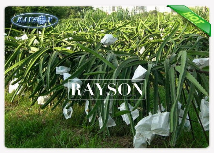 Rayson Non Woven Fabric online fruit cover mesh supplier for home furnishings