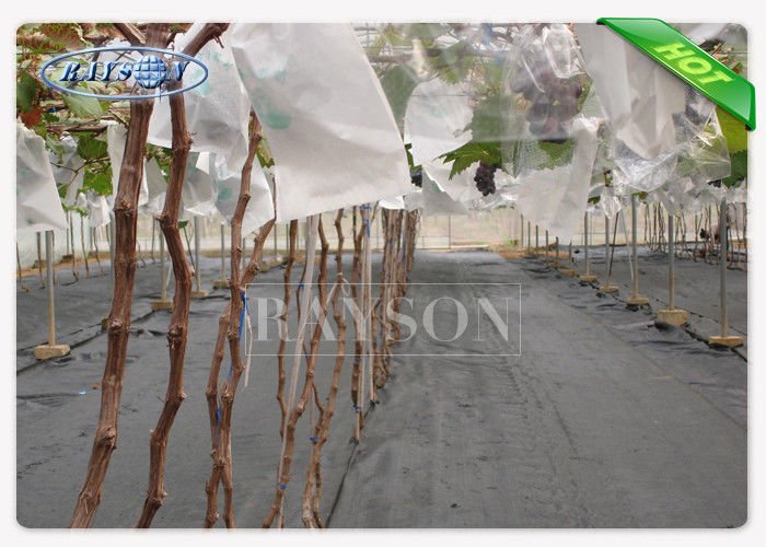 Rayson Non Woven Fabric online fruit cover mesh supplier for home furnishings