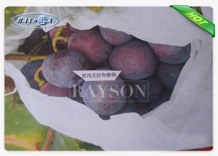 PP Spunbond White Fruit Protection Bag Anti--Aging Non Woven 20-50gsm