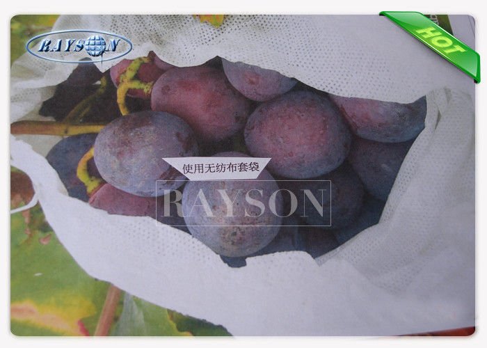 UV Protection Agriculture Use Non Woven Tree Planting Bags Biodegradable / Recyclable