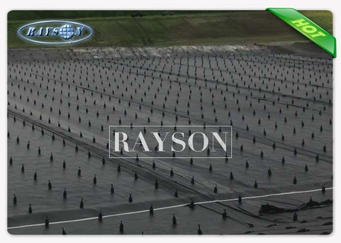 Rayson Non Woven Fabric treatment weed liner for the garden wholesale for root control bags