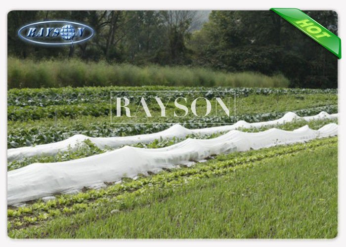UV Ttreated PP Spunbond Frost Protection Fleece Biodegradable Landscape Fleece 40gram