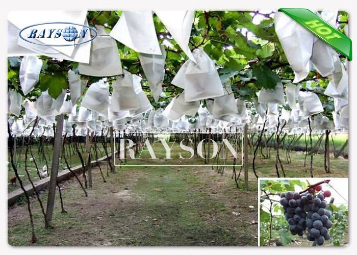 Anti Insect Pest Non Woven Fruit Protection Netting  Blue / White Color