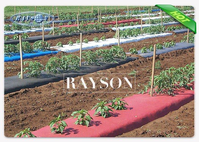 laying garden fleece rolls 10m for weed control Rayson Non Woven Fabric