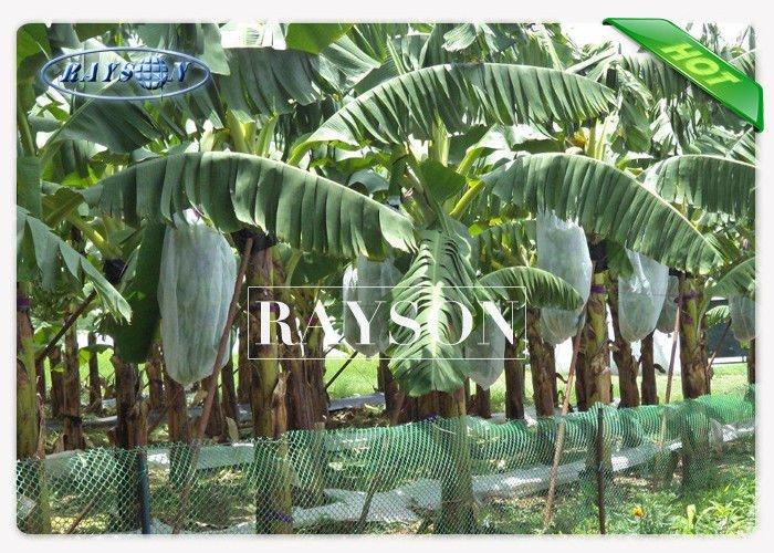 UV Stabilizer Fruit Tree Netting Bags for Banana / Grape / Mango PPSB Non Woven