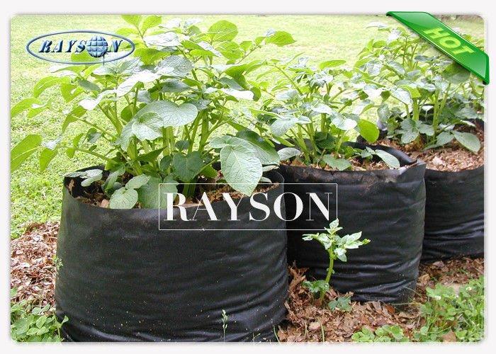40 gsm Small Nursery Grow White Color Non Woven Plant Bag Used For Home Garden