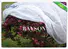 Rayson Non Woven Fabric online horticultural fabric supplier for plants covers