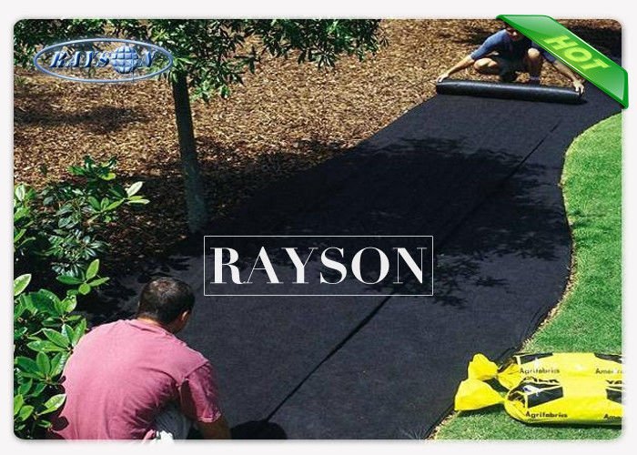 Rayson Non Woven Fabric black biodegradable landscape fabric manufacturer for ground cover