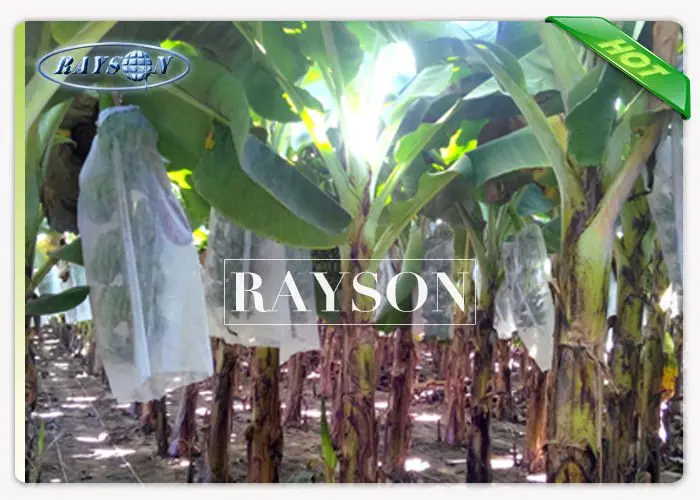 UV Stabilizer Fruit Tree Netting Bags for Banana / Grape / Mango PPSB Non Woven