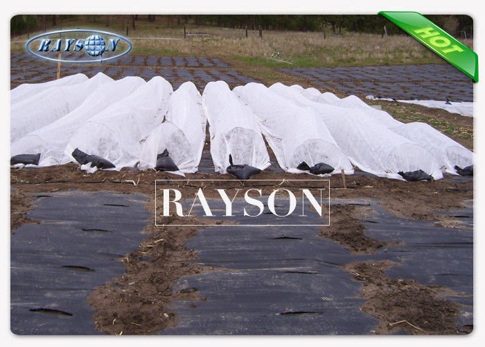 join white weed control fabric wholesale for seed blankets Rayson Non Woven Fabric