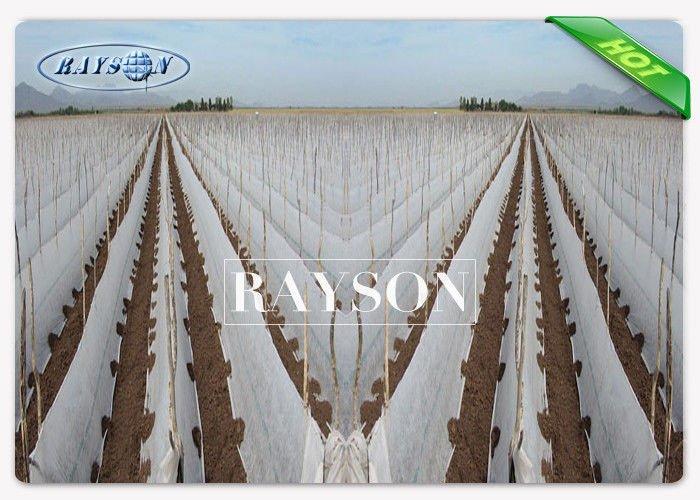 17 gsm White Color Commercial Weed Control Fabric With Reinforced Edges