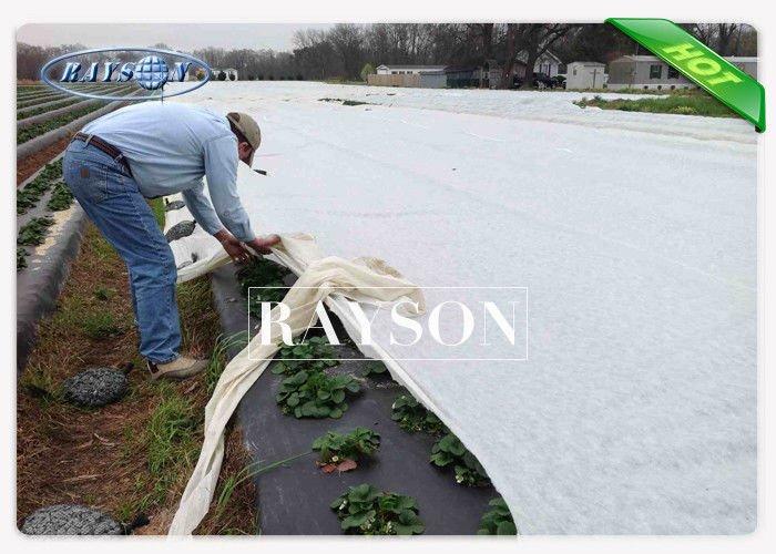 17 gsm White Color Commercial Weed Control Fabric With Reinforced Edges