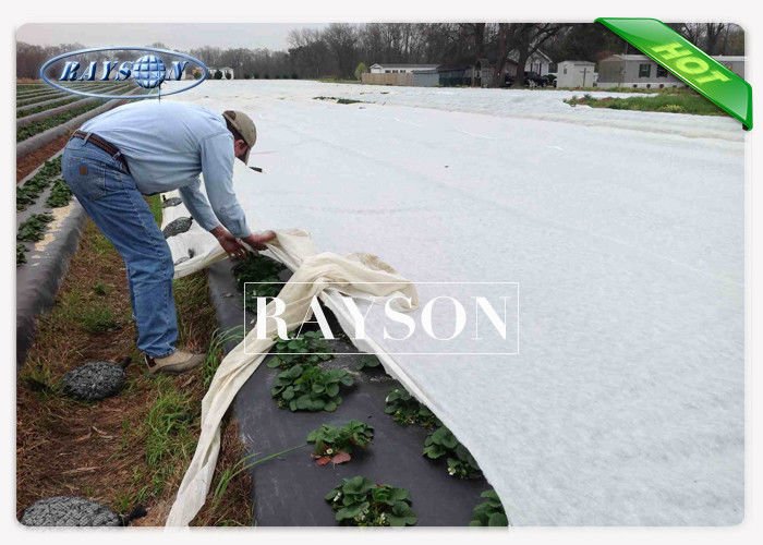 Recycle Compostable Garden Weed Control Fabric Spunbond in Seasame Dot