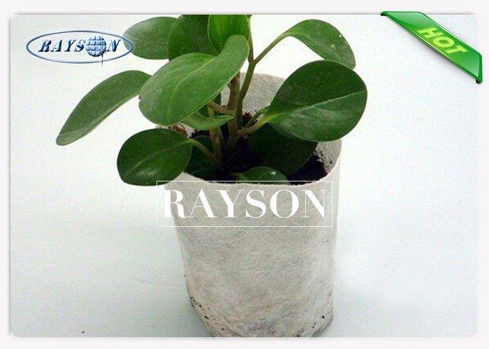 Thicken Breathable White Color 100% Polypropylene Plant Grow Bag For Flower Plants