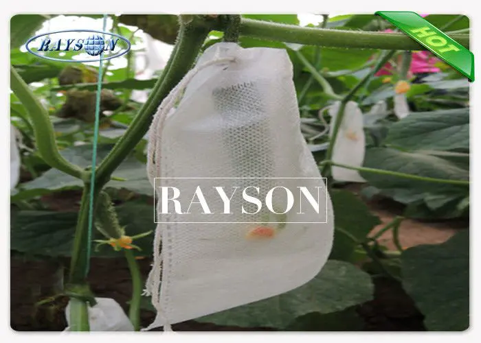 Eco Friendly Recyclable Fruit Protection Bag Heat Sealing / Drawstring with UV Treatment