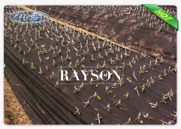 barrier cloth for gardens ppsb for root control bags Rayson Non Woven Fabric