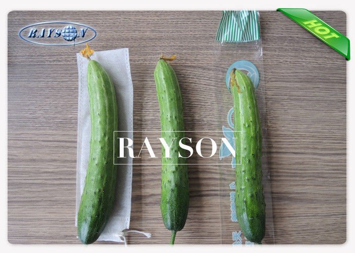 Rayson Non Woven Fabric recyclable fruit fly protection manufacturer for pear and vegetable