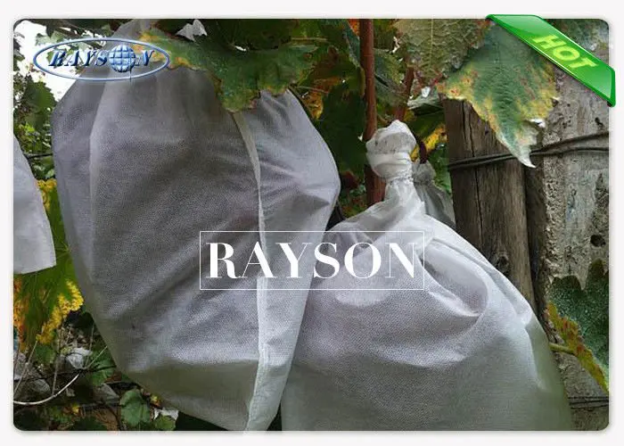 Air and Sunlight Permeable Protective Netting for Fruit Trees 100% Virgin PP Composition