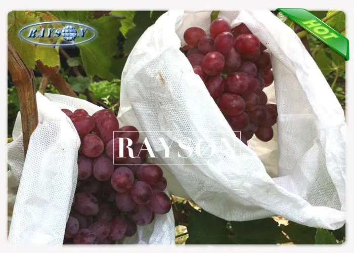 Insect Prevention Fruit Protection Bag In Good Breathable , Fruit Fly Netting for Fruit Trees