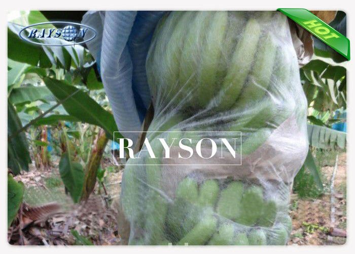 Air and Sunlight Permeable Protective Netting for Fruit Trees 100% Virgin PP Composition