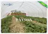 Rayson Non Woven Fabric high density flower garden weed control wholesale for ground cover