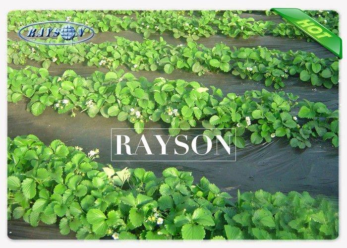spun cheap landscape fabric roll wholesale for ground cover Rayson Non Woven Fabric
