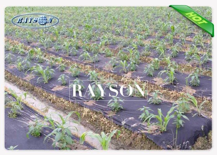 Small Rolls Durable UV Stabilization Garden Weed Control Fabric With Polybag