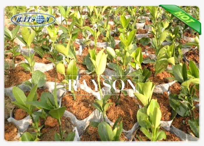 17-50 GSM  UV Treatment Garden Weed Control Fabric for Vegetable / Fruit Farm