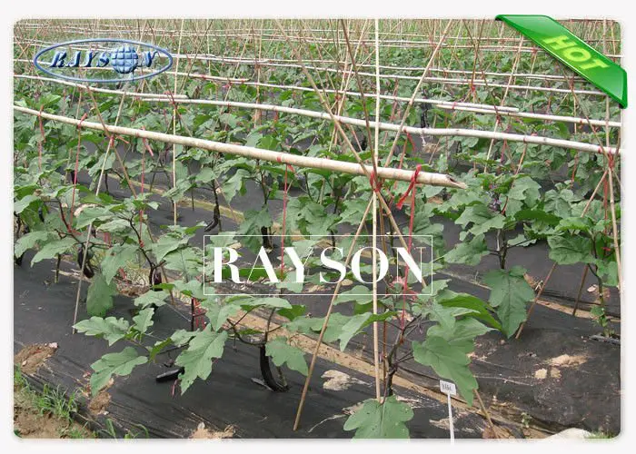 Water Permeable Weed-proof Landscape Fabric with Anti-aging , Non Woven Landscape Textiles