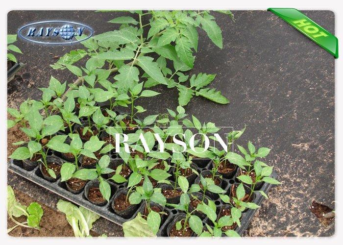 weed control material protection for root control bags Rayson Non Woven Fabric