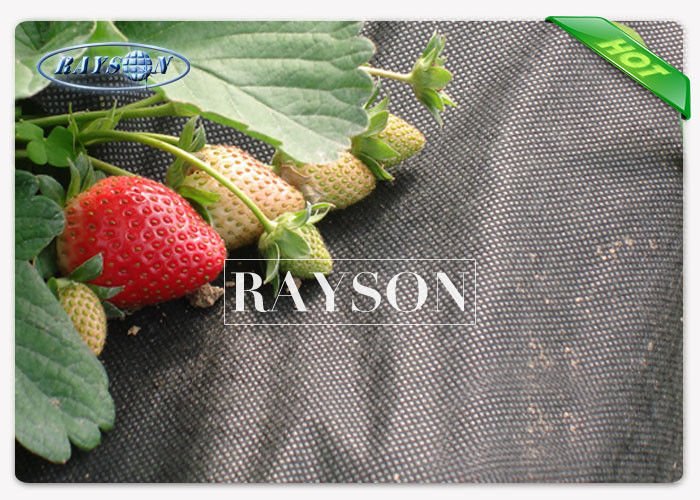 Rayson Non Woven Fabric black biodegradable landscape fabric manufacturer for ground cover