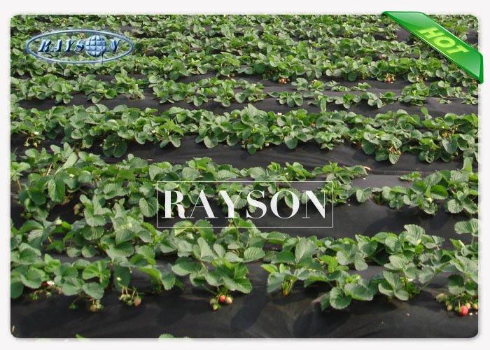 weed control material protection for root control bags Rayson Non Woven Fabric