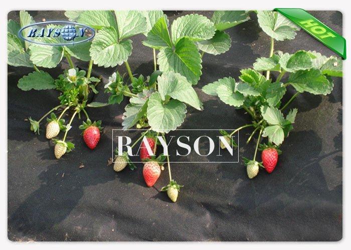 Durable Weed Block Non Woven Spunbond Landscape Fabric for Agriculture