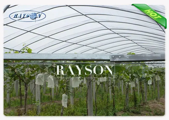 17gsm with UV Stabilization Non Woven Heavy Duty Landscape Fabric for Plants Covers