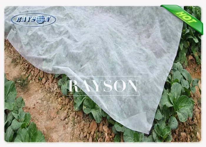 50 gsm UV 3% Polypropylene Frost Protection Fleece , Biodegradable Garden Fleece Bags