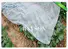 frost guard for plants tree for winter fleece Rayson Non Woven Fabric