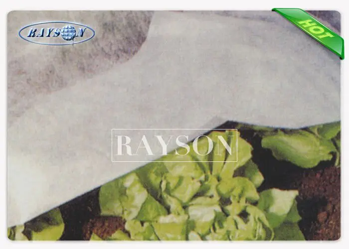22GSM Frost Protection Cover For Garden Flower , Agricultural Fleece