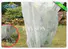Rayson Non Woven Fabric high quality where to buy geotextile fabric series for ground cover