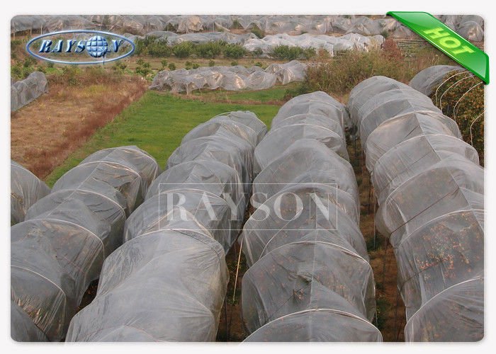 30gsm White Color 3% UV Protection PP Spunbond Nonwoven Fabric For Agriculture Used